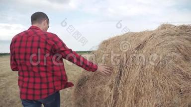 智慧农业理念.. 一个农夫在一块数字平板电脑上的田野里研究干草堆。 慢速视频